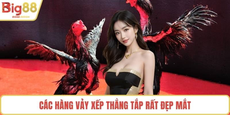 Các hàng vảy xếp thẳng tắp rất đẹp mắt