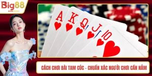 Cách Chơi Bài Tam Cúc - Chuẩn Xác Người Chơi Cần Nắm Rõ
