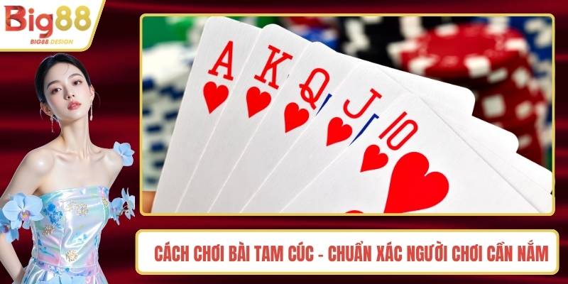 Cách Chơi Bài Tam Cúc - Chuẩn Xác Người Chơi Cần Nắm Rõ
