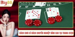 Cách Chơi Xì Dách Chuyên Nghiệp Đỉnh Cao Tại Trang Cược