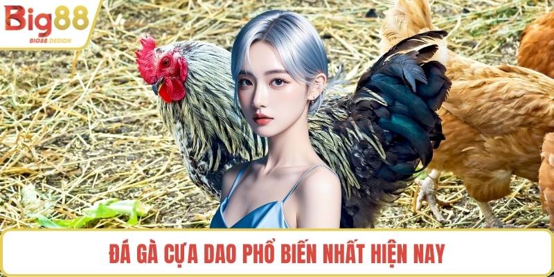 Đá gà cựa dao phổ biến nhất hiện nay