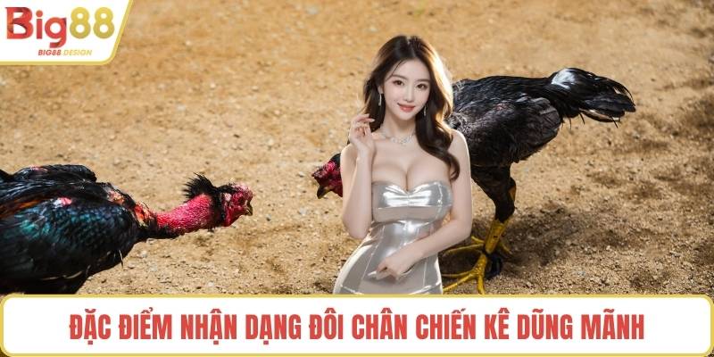 Đặc điểm nhận dạng đôi chân chiến kê dũng mãnh