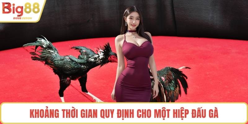Khoảng thời gian quy định cho một hiệp đấu gà