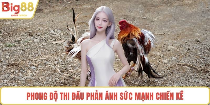 Phong độ thi đấu phản ánh sức mạnh chiến kê