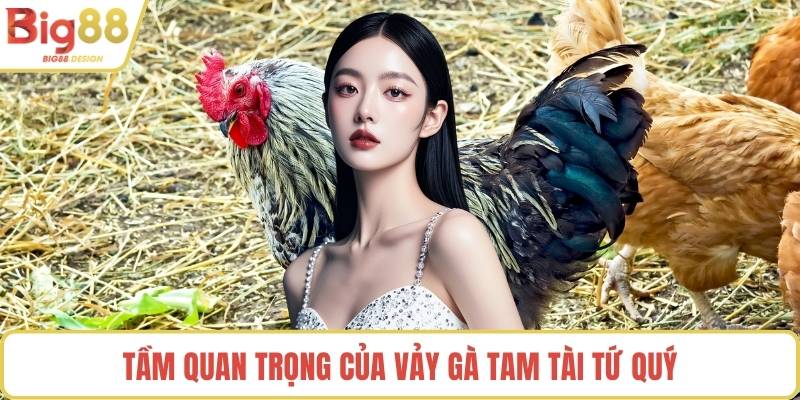 Tầm quan trọng của vảy gà tam tài tứ quý