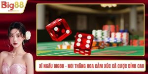 Xí Ngầu BIG88 - Nơi Thăng Hoa Cảm Xúc Cá Cược Đỉnh Cao