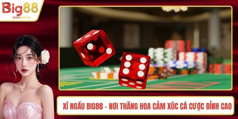 Xí Ngầu BIG88 - Nơi Thăng Hoa Cảm Xúc Cá Cược Đỉnh Cao